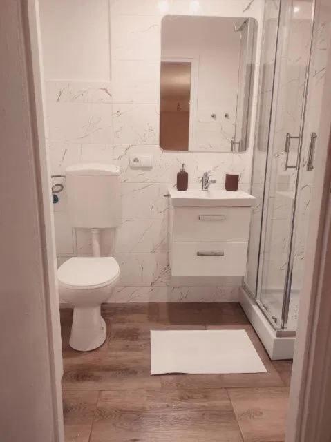 Przytulny Apartament W Centrum Warszawy Varsovie Extérieur photo
